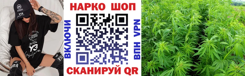 Купить закладку БУТИРАТ  КОКАИН  Alpha-PVP  Меф  Бошки Шишки  Псилоцибиновые грибы  Благовещенск