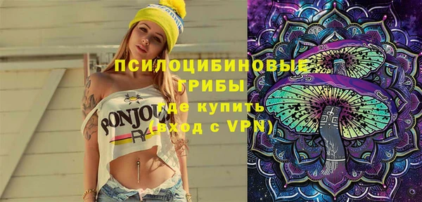 скорость Каменка