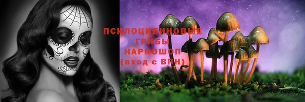 скорость Каменка