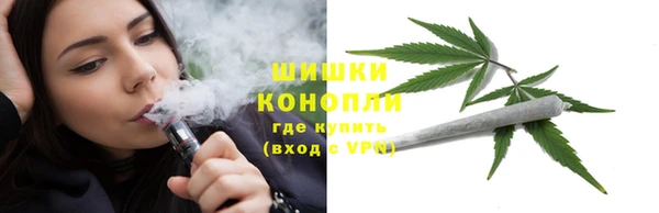 крисы Карпинск