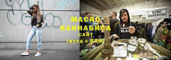 скорость Каменка