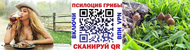 Купить где  Благовещенск  Галлюциногенные грибы MAGIC MUSHROOMS 
